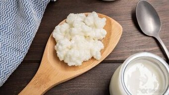 Kefírove zrná na domáci kefír / tibetská huba