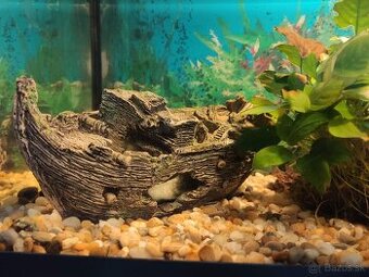Akvárium a príslušenstvo