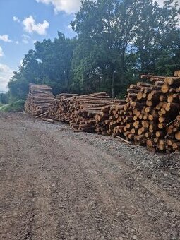 Dubové drevo_Vykurovanie_Predaj_Doprava_19112025