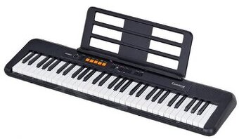 Casio CT-S100