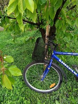 MTB s košíkom