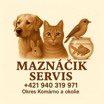 Maznáčik Servis Komárno a Okolie