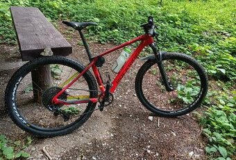 ROCKRIDER XC900 carbon 29"