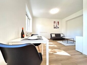 ASSENZIO-1IZBOVÝ BYT- 29,07m2- SLOVINSKÁ ULICA - BRATISLAVA - 1