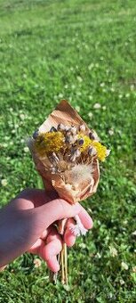 🌾Mala kytička žltá slamienka, zajačí chvost a lúčne kvety