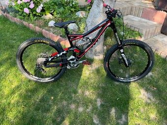 Specialized status