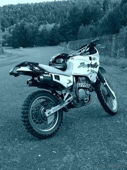 Honda dominator nx 650