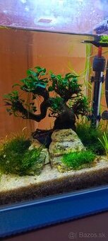 Akvarium 30x25x25cm s prislusenstvom