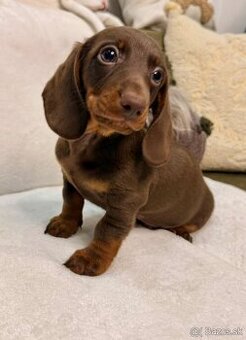 oliviasevcikova3110@gmail.com