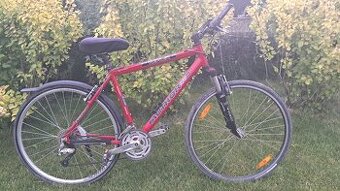 Bicykel author respect