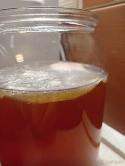 Kombucha