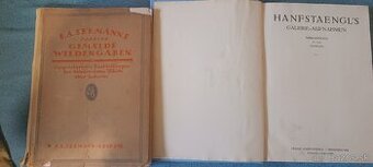 Predám 2 zaujímavé zberateľské knihy z oblasti výtvarného um