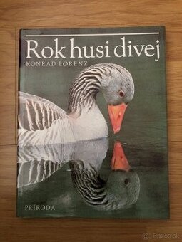 Rok husi divej