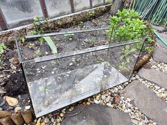 Terarium - 1