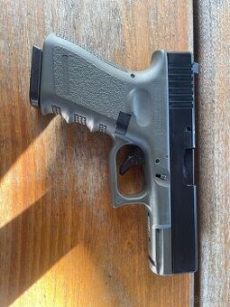 Glock 19
