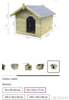 Psia búda - psie búdy