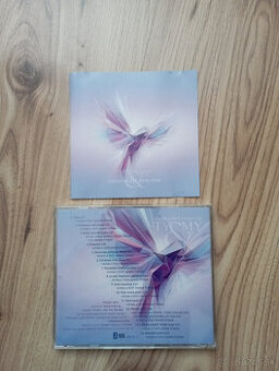 TY & MY-Chcem uzrieť tvoju tvár