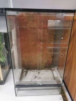 Terarium
