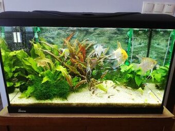Akvarium diversa 125L