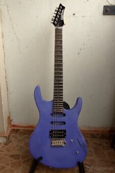 Washburn - 1