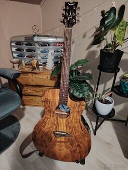 Akusticko-elektrická gitara s vybavením + DARČEK