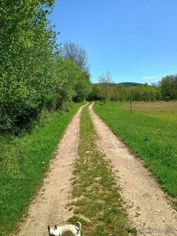 Pozemok Horná Breznica