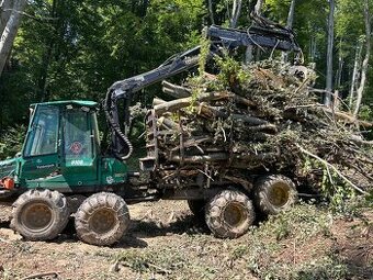Ťažba dreva, čistenie pozemkov,orezávanie konárov