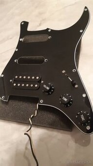 Pickguard s 3x A500K, PUSH/PULL
