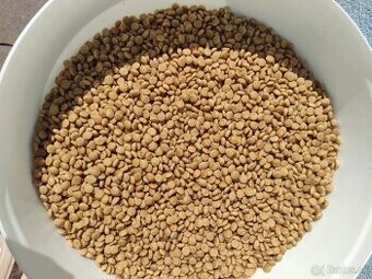 Granule pre psov