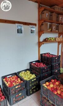 Jablká/oskoruše