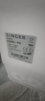 Singer