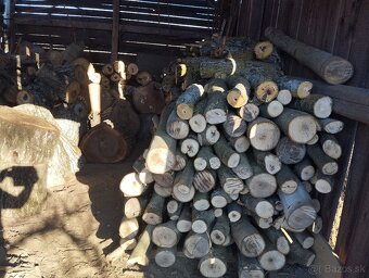 Orechové drevo-kmene palivové, kvalitné,už väčšie množstvo