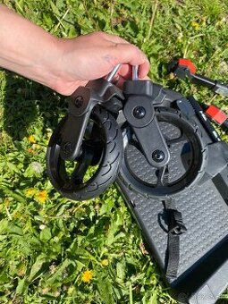 jane go up stupienok ku kociaru