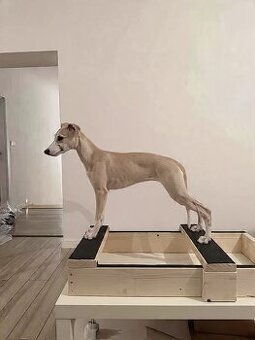 Vipet s preukazom pôvodu