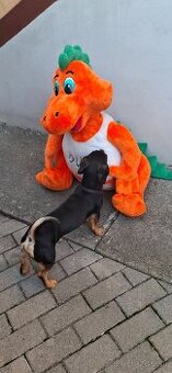 Predam  Duvi drácik velky plysák nový   Dlzka 83cm