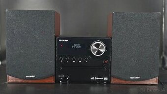 Predam mini system  SHARP XL-B517D