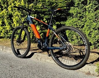 CTM PULZE 29