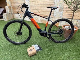 CTM PULZE 29