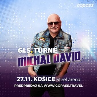Predám 2 lístky na MICHALA DAVIDA