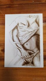 Laserom gravírovaný portrét, preglejka formátu A4 (2) - 1