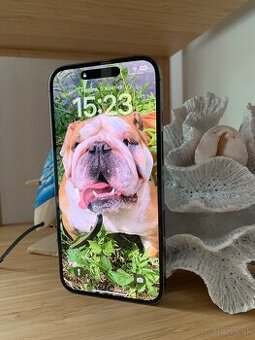 iPhone 14 pro max 1TB