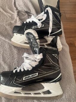 Predam Bauer supreme 1S