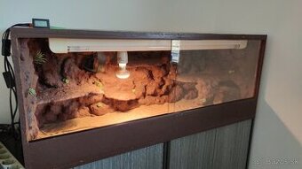 terarium