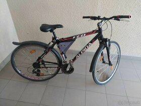 Bicykel Alpina Eco C20