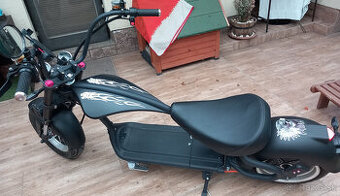 E chopper Citycoco M1