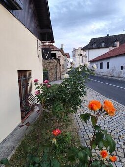recepčný/recepčná