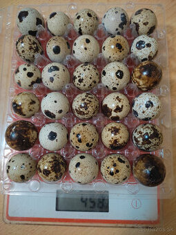 Obaly na prepeličie vajíčka