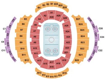 IIHF 2025 final game