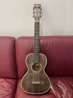VINTAGE VTR 800 PB USB parlor