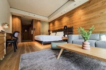 1 izbový apartmán, Swissotel Damian Jasná, Demänovská Dolina